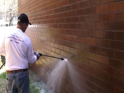 Elephant Snot - Brick - Wall