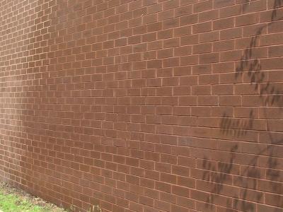 Elephant Snot - Brick Wall - School