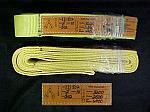 10' Lifting Strap